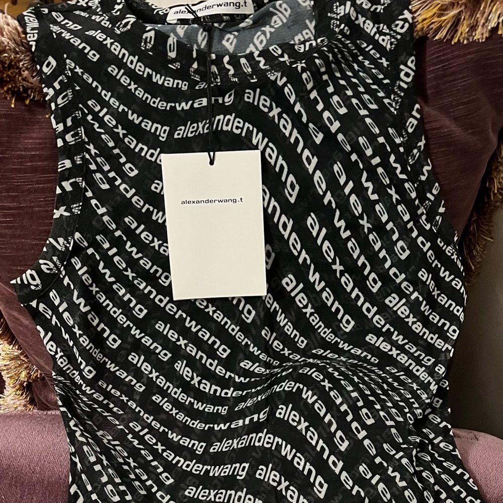 Alexander Wang Mesh Dress In Black